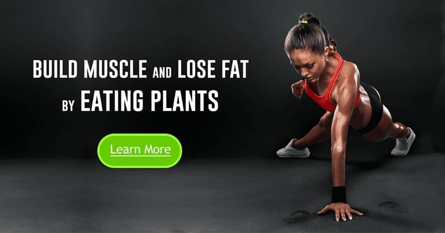V3 Vegetarian Plant-Based Bodybuilding System